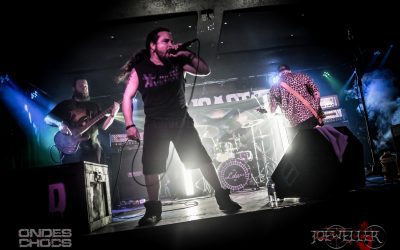 Entrevue avec Last Dance Among Wolves par Max