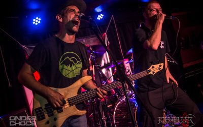 Entrevue avec Torn To Pieces par Max