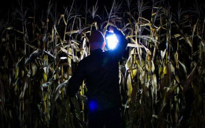 Critique d’album: LTYM (Love Those You Miss) – I Stand Alone (Mai 2022)