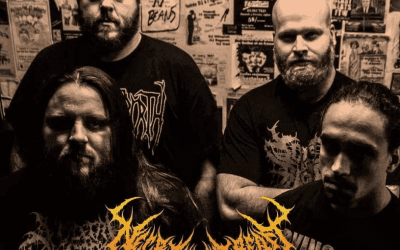 Les Nouvelles Ondes Chocs – Les Festivals