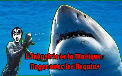 Nager avec les Requins – Pourcentage et Ristourne en Tournée – Vendredi 9 Juin 2023